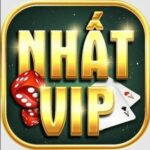 logo nhatvip